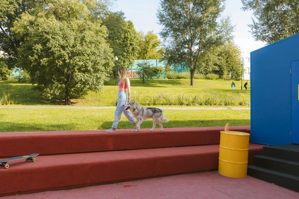 Entomophobie : comprendre et surmonter la peur des insectes